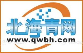 青蛙仔網(wǎng)絡(luò)代理 創(chuàng)新設(shè)計(jì)服務(wù)，開(kāi)啟火爆招商新篇章